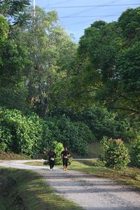 Run For Belang 2026