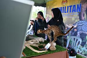 Run For Belang 2026