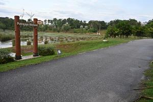Run For Belang 2026