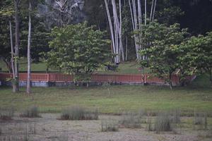 Run For Belang 2026