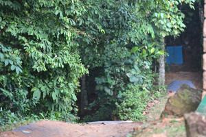Kejohanan Mountain BIke Kebangsaan 2026