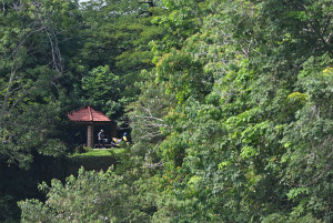 Kejohanan Mountain BIke Kebangsaan 2026