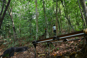 Kejohanan Mountain BIke Kebangsaan 2026