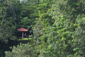 Kejohanan Mountain BIke Kebangsaan 2026