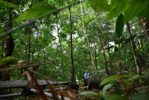 Kejohanan Mountain BIke Kebangsaan 2026