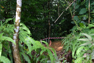 Kejohanan Mountain BIke Kebangsaan 2026