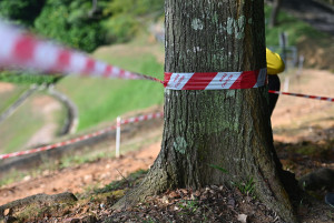 Kejohanan Mountain BIke Kebangsaan 2026