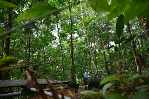 Kejohanan Mountain BIke Kebangsaan 2026