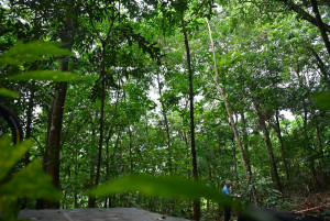 Kejohanan Mountain BIke Kebangsaan 2026