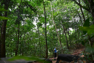 Kejohanan Mountain BIke Kebangsaan 2026