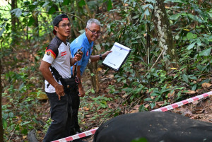 Kejohanan Mountain BIke Kebangsaan 2026
