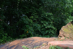 Kejohanan Mountain BIke Kebangsaan 2026