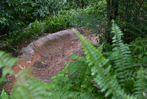 Kejohanan Mountain BIke Kebangsaan 2026