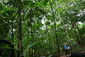 Kejohanan Mountain BIke Kebangsaan 2026