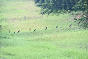 Kejohanan Mountain BIke Kebangsaan 2026
