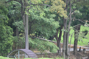 Kejohanan Mountain BIke Kebangsaan 2026