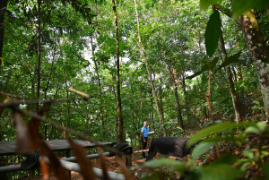 Kejohanan Mountain BIke Kebangsaan 2026