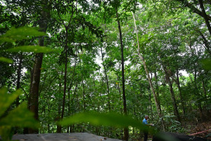 Kejohanan Mountain BIke Kebangsaan 2026