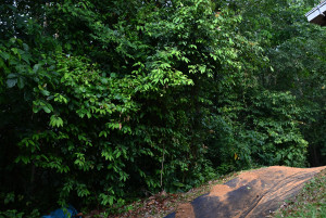 Kejohanan Mountain BIke Kebangsaan 2026